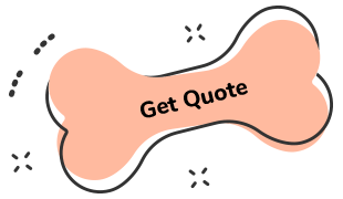 https://bohoandbarkpetgrooming.com/wp-content/uploads/2019/08/text_06-1.png