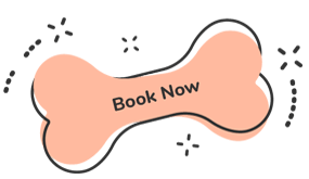 Book a Tour https://bohoandbarkpetgrooming.com/wp-content/uploads/2019/08/text_07-1.png