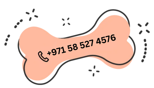 https://bohoandbarkpetgrooming.com/wp-content/uploads/2026/01/971-58-527-4576-1.png