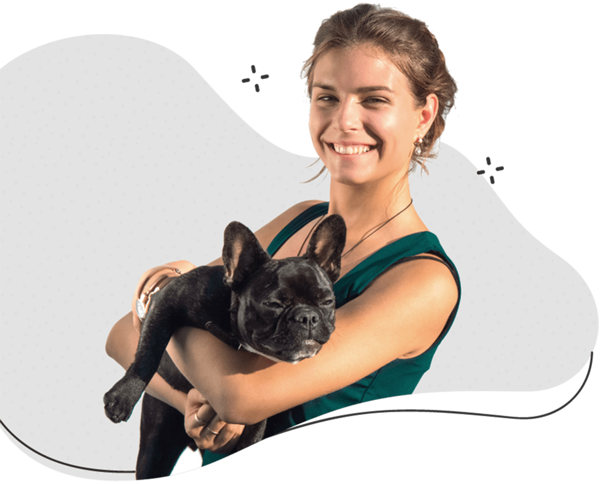 https://bohoandbarkpetgrooming.com/wp-content/uploads/2026/05/hero_image_13.png
