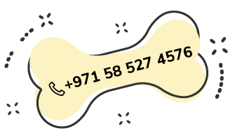 https://bohoandbarkpetgrooming.com/wp-content/uploads/2026/06/text_04.png