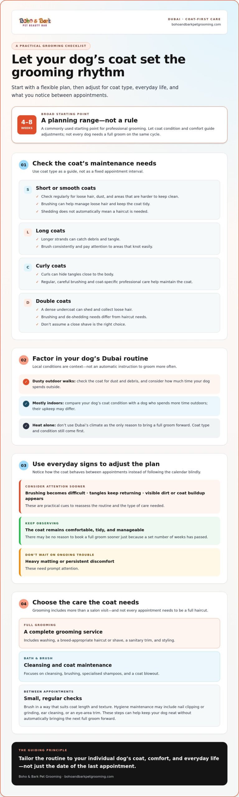 Dog Grooming Frequency: A Coat Guide for Dubai